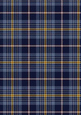 patrick-tartan-fabric