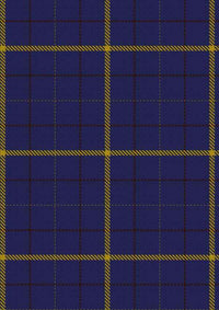 Pearson Tartan Fabric