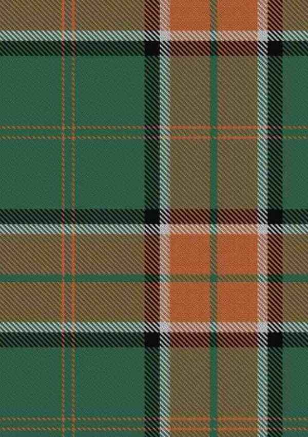 Pollock Tartan Fabric