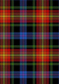 Pride Of LGBT Tartan Fabric