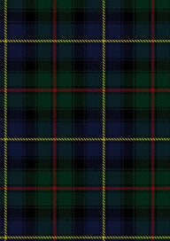 Ralph Lauren Tartan Fabric