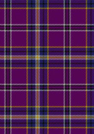 Regan Tartan Fabric