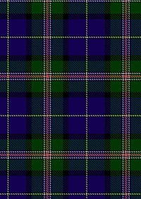 Robson Steve Tartan Fabric