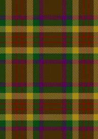 Shannon Tartan Fabric