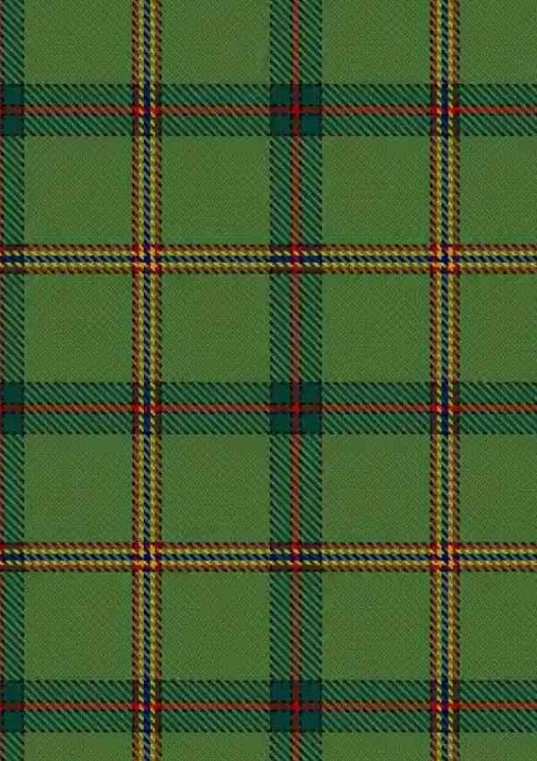 Strachan Hunting Tartan Fabric