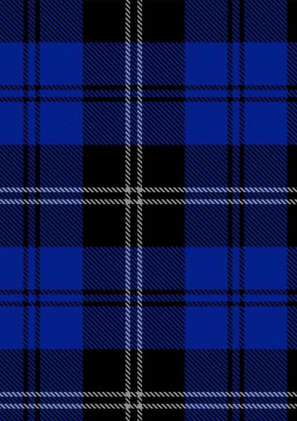 Swan Tartan Fabric