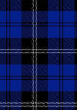 swan-tartan-fabric