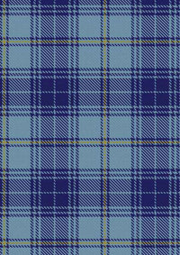  Traynor Tartan Fabric