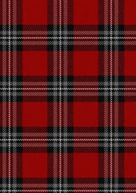 Turner Tartan Fabric