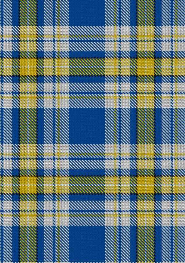 Ukraine Forever Tartan Fabric