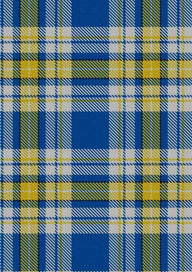 Ukraine Forever Tartan Fabric