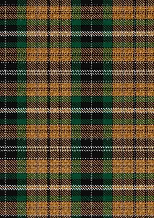 Vaughan Tartan Fabric