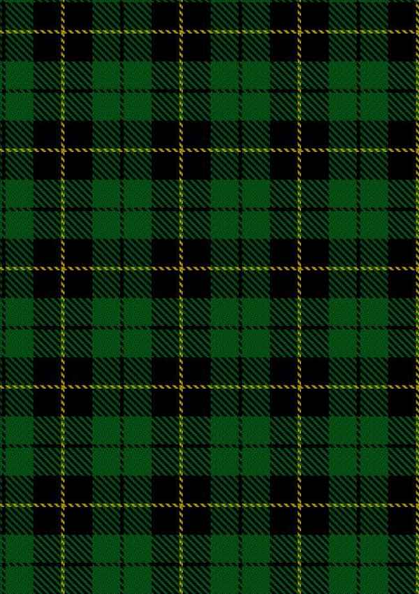  Wallace Hunting Tartan Fabric