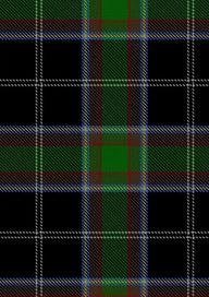 Webster Tartan Fabric