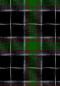 Webster Tartan Fabric