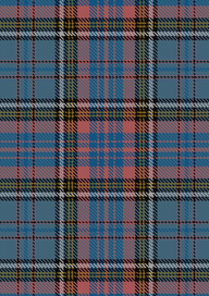 Westwood MacAndreas Tartan Fabric