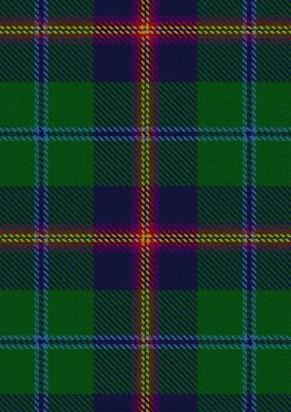 Young Tartan Fabric